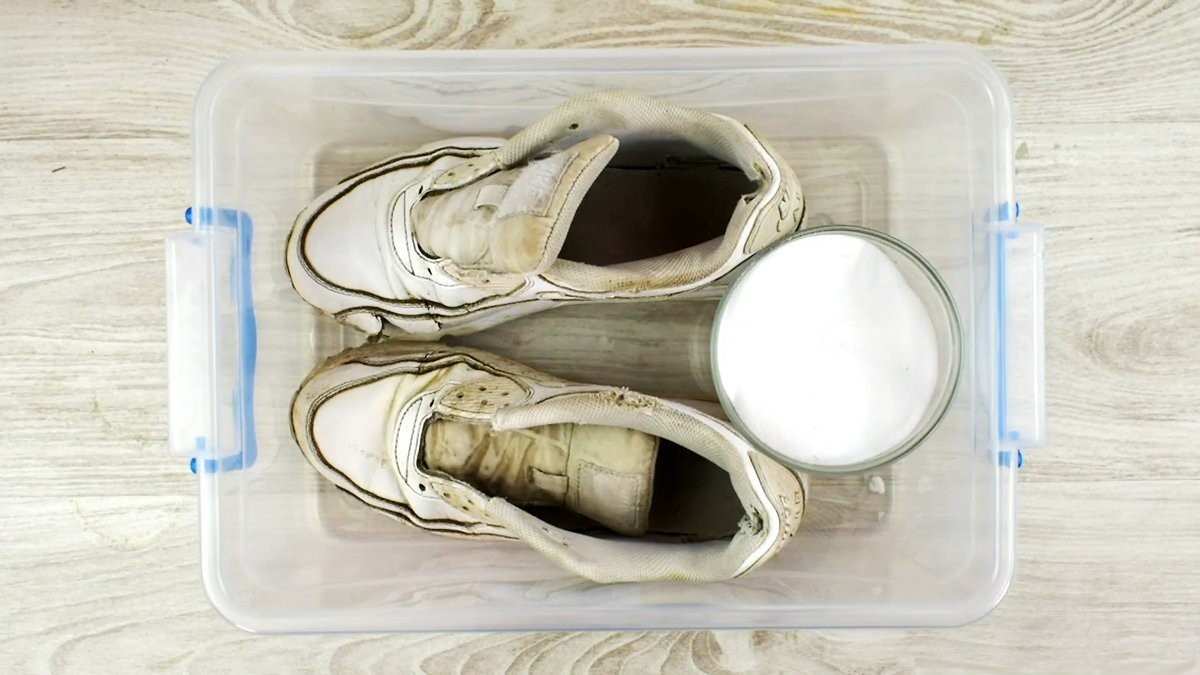  How To Clean White Leather Shoes NIKE 